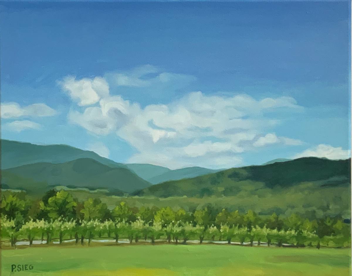 Vineyard Venue by Patrick Sieg 