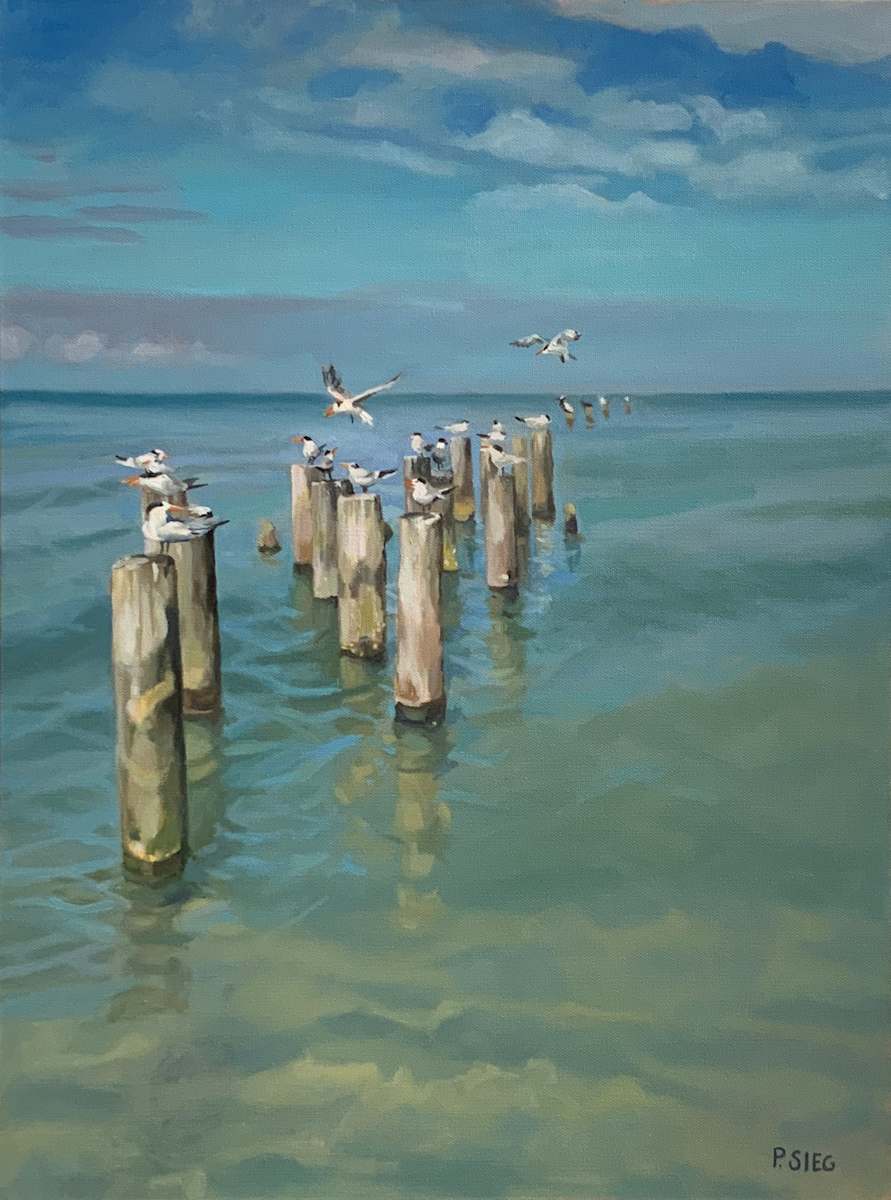 Perching on Pilings by Patrick Sieg 
