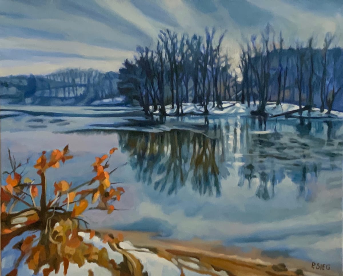 Near Freezing at Needwood by Patrick Sieg 