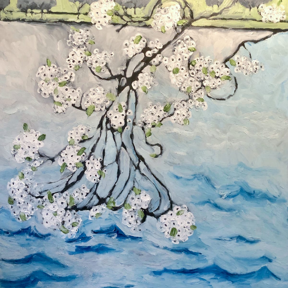 Cherry Blossoms by Stephanie Fuller 