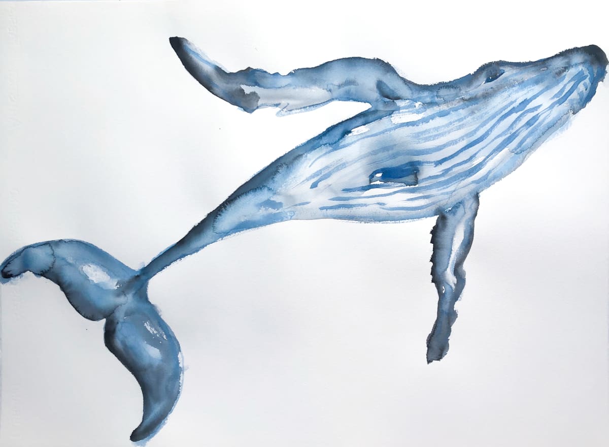 The Peace of Whales by Stephanie Fuller 