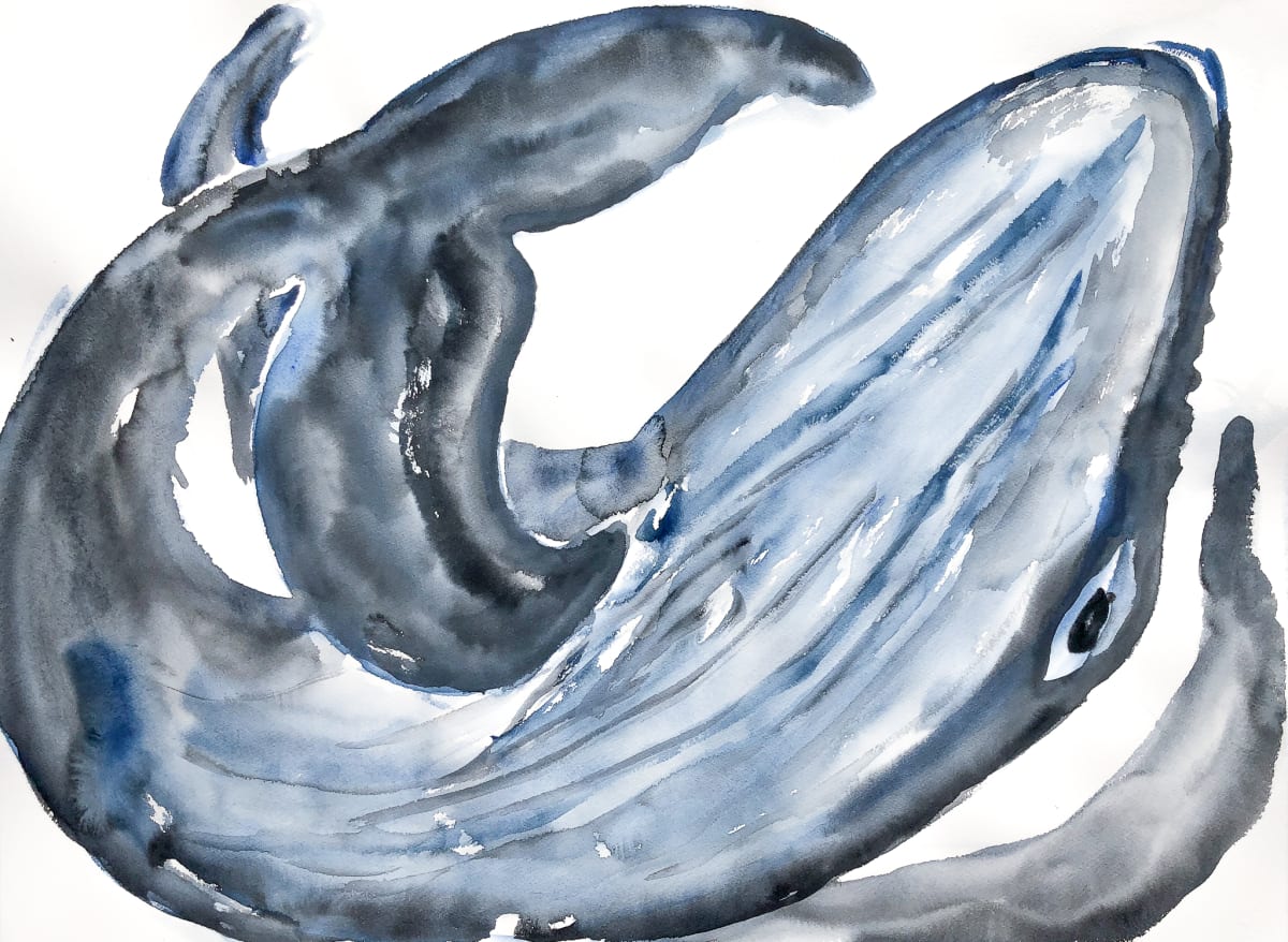 A Whale Of A Time by Stephanie Fuller 