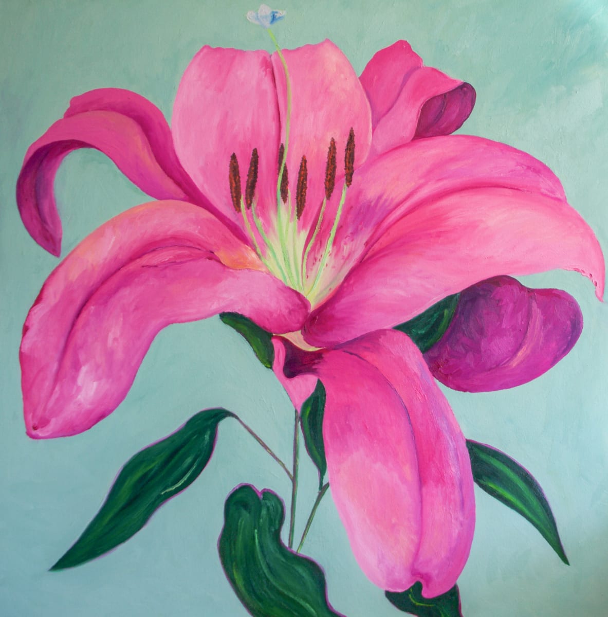 Lilium by Stephanie Fuller 
