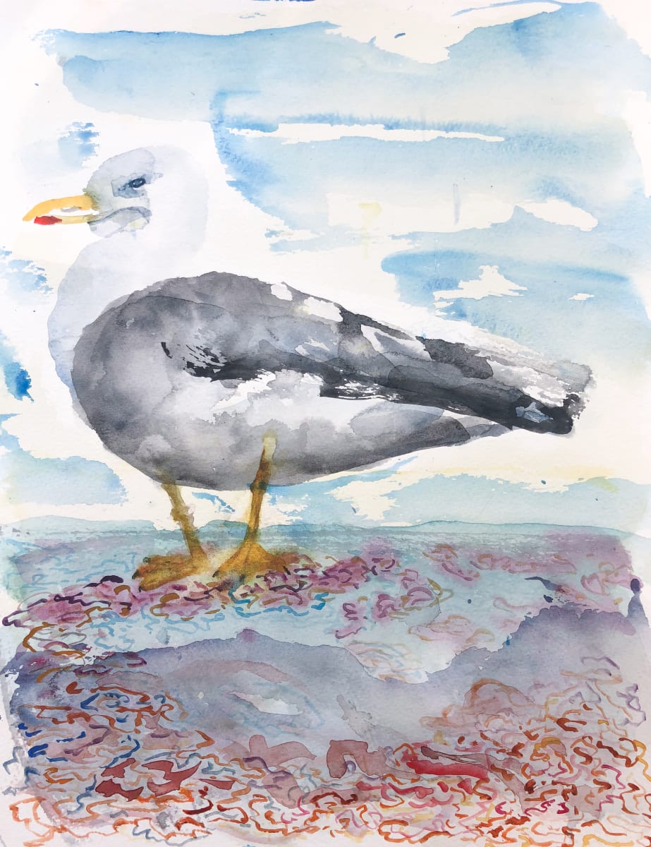 Seagull, Walmer by Stephanie Fuller 