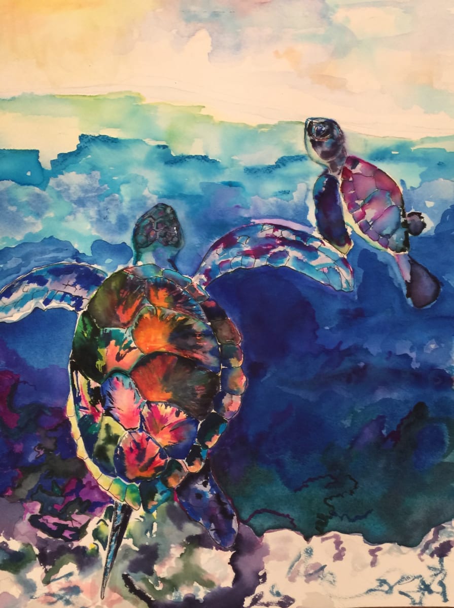 Turtle Dreams, Image 1.