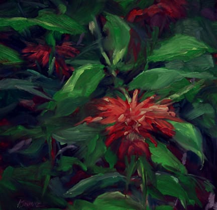 Bee Balm by Alecia Schmitz 