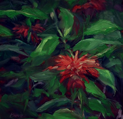Bee Balm by Alecia Schmitz, Image 1.