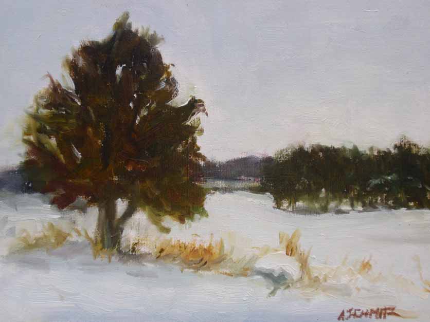 Lone Cedar in Snow by Alecia Schmitz 