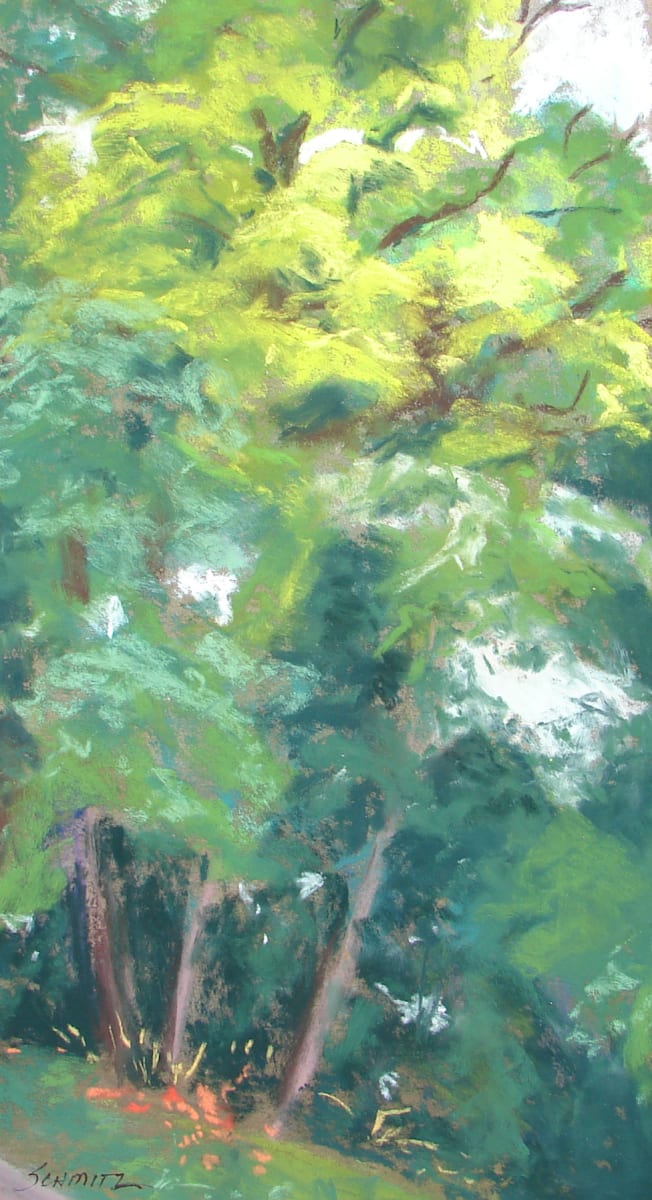 Tiger Lilies by Alecia Schmitz, Image 1.