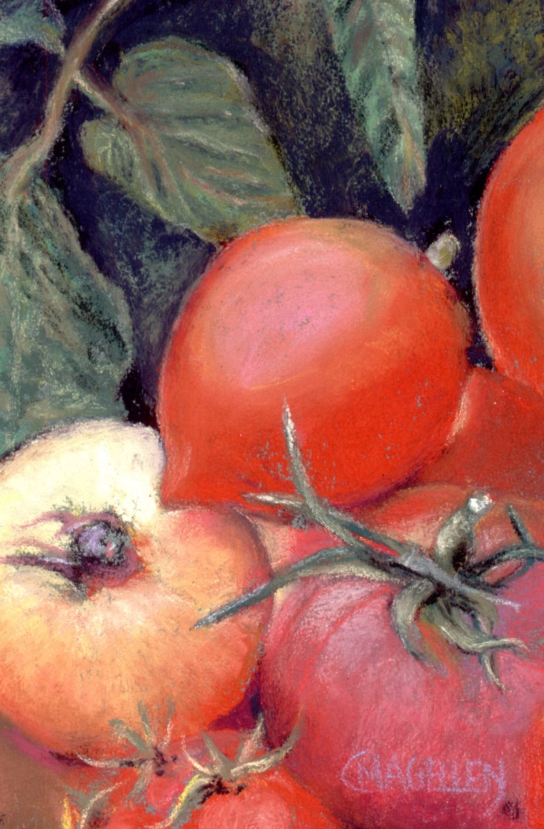 Tomatoes by Cheryl Magellen 