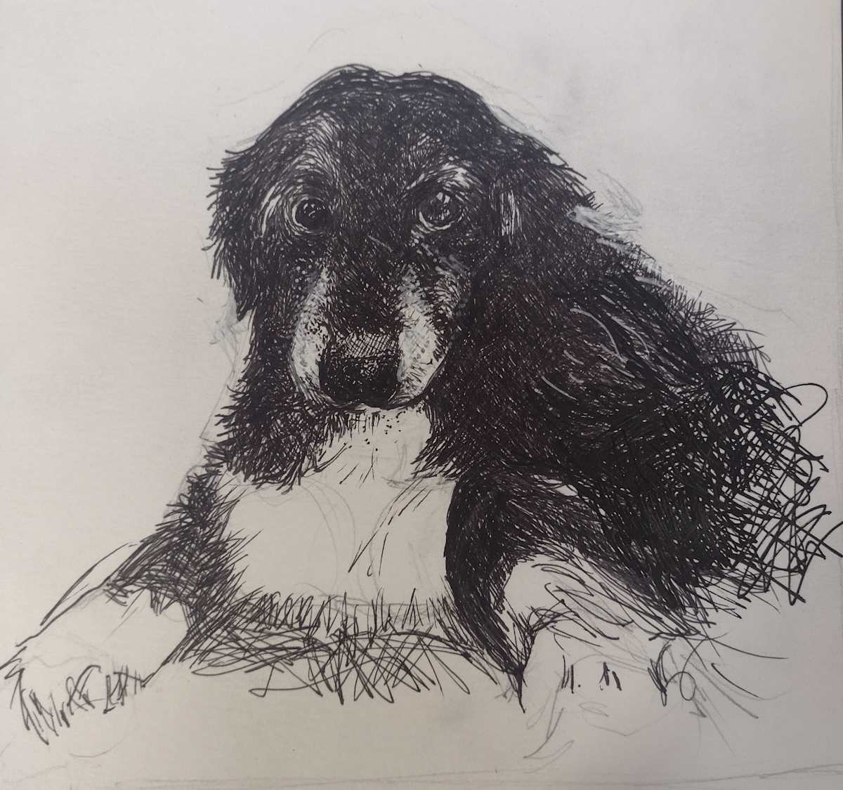 Van Gogh Kayla by Cheryl Magellen 