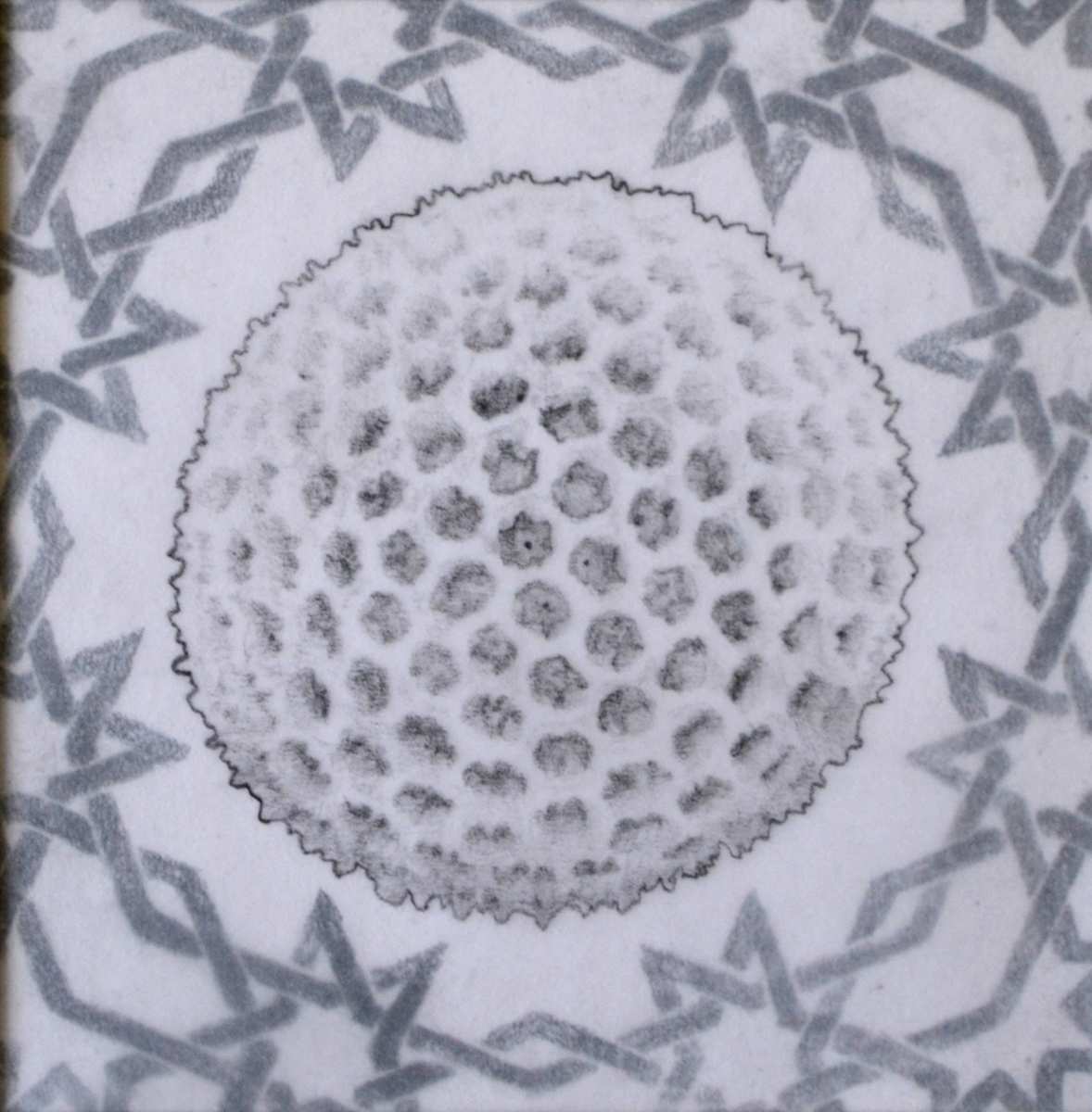 Systems Thought VI, Image 1.