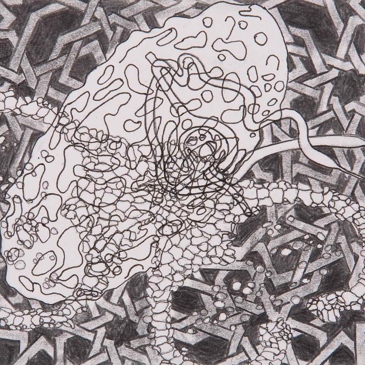 Systems Thought V, Image 1.