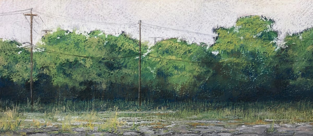 Trees, Lines, Image 1.