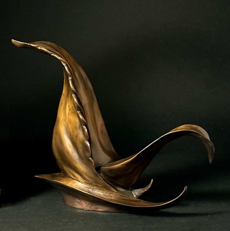 Continuum 2 by Lynn Dodge 
