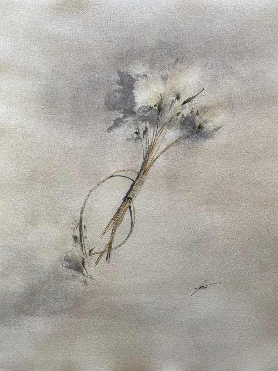 Woolfgras by Ian Clements, Image 1.