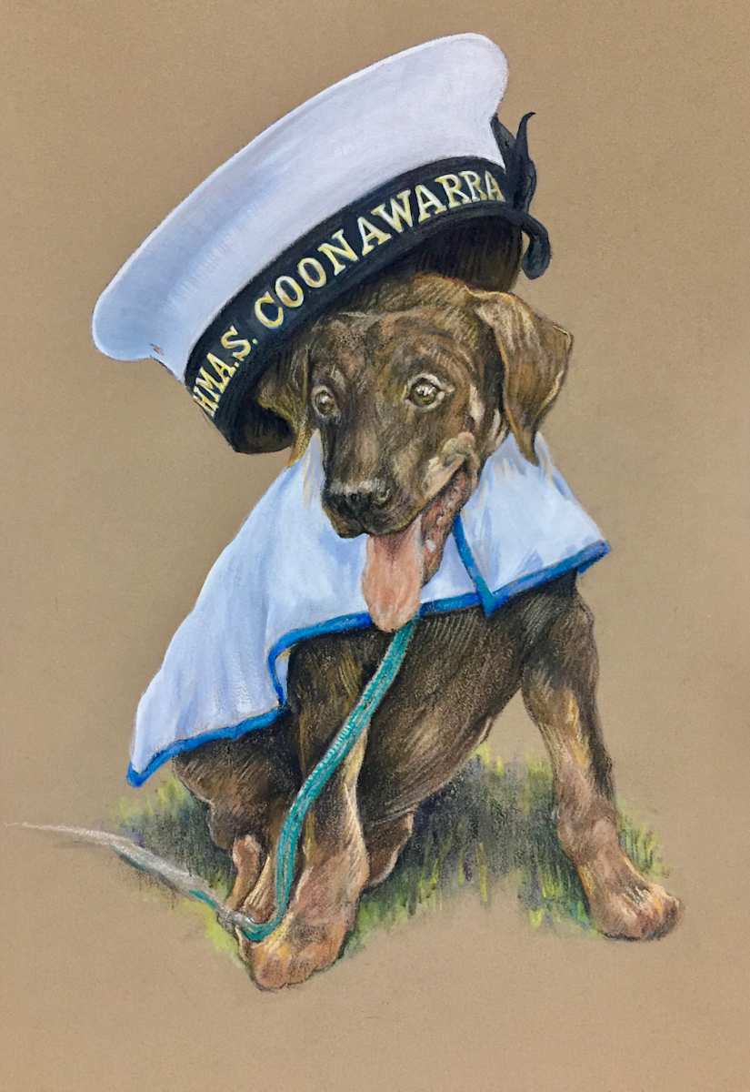 Royal Australian Navy Mascot: HMAS Coonawarra (c1973) by Victoria Kitanov  Image: R.A.N. Mascot: Tuin, tries on a Coonawarra cap on for size (c1973)