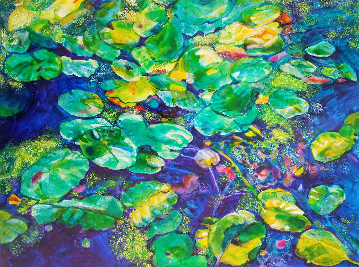 Water Lilies by Alison P Darrow, Image 1.