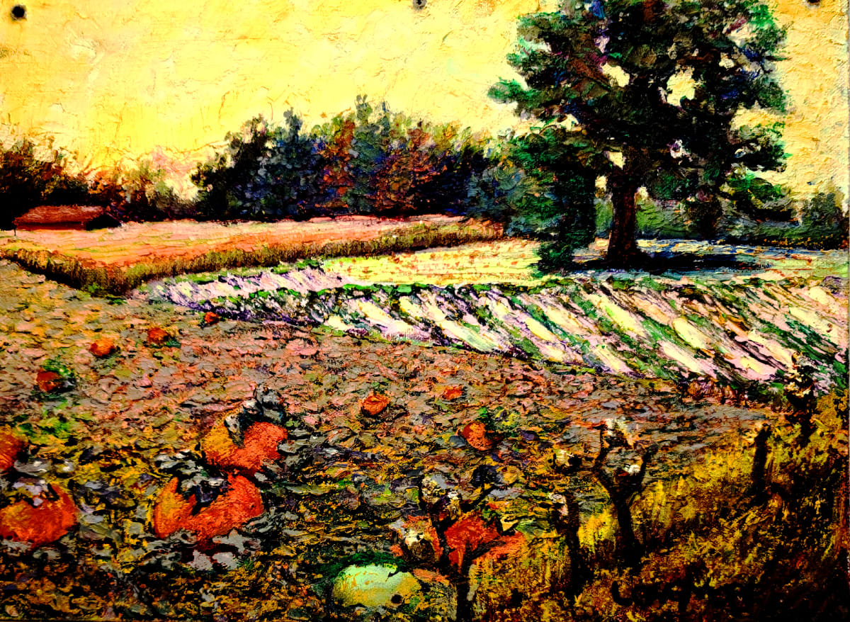 Pumpkin Patch Sauvie's Island by Sandra Longmore 