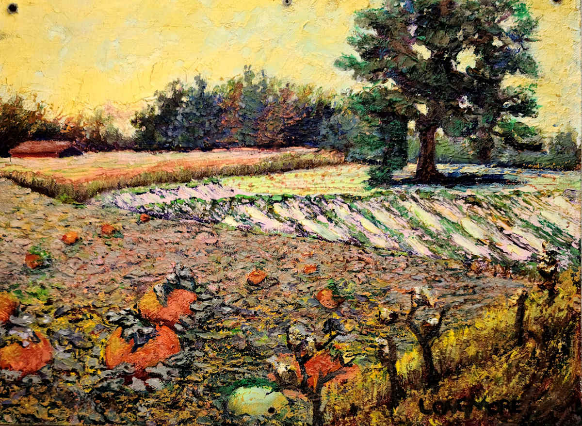 Pumpkin Patch Suave's Island, Portland, Oregon, Image 1.