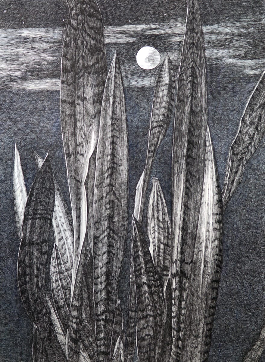 Moon and snakes by Chinatsu Seya 