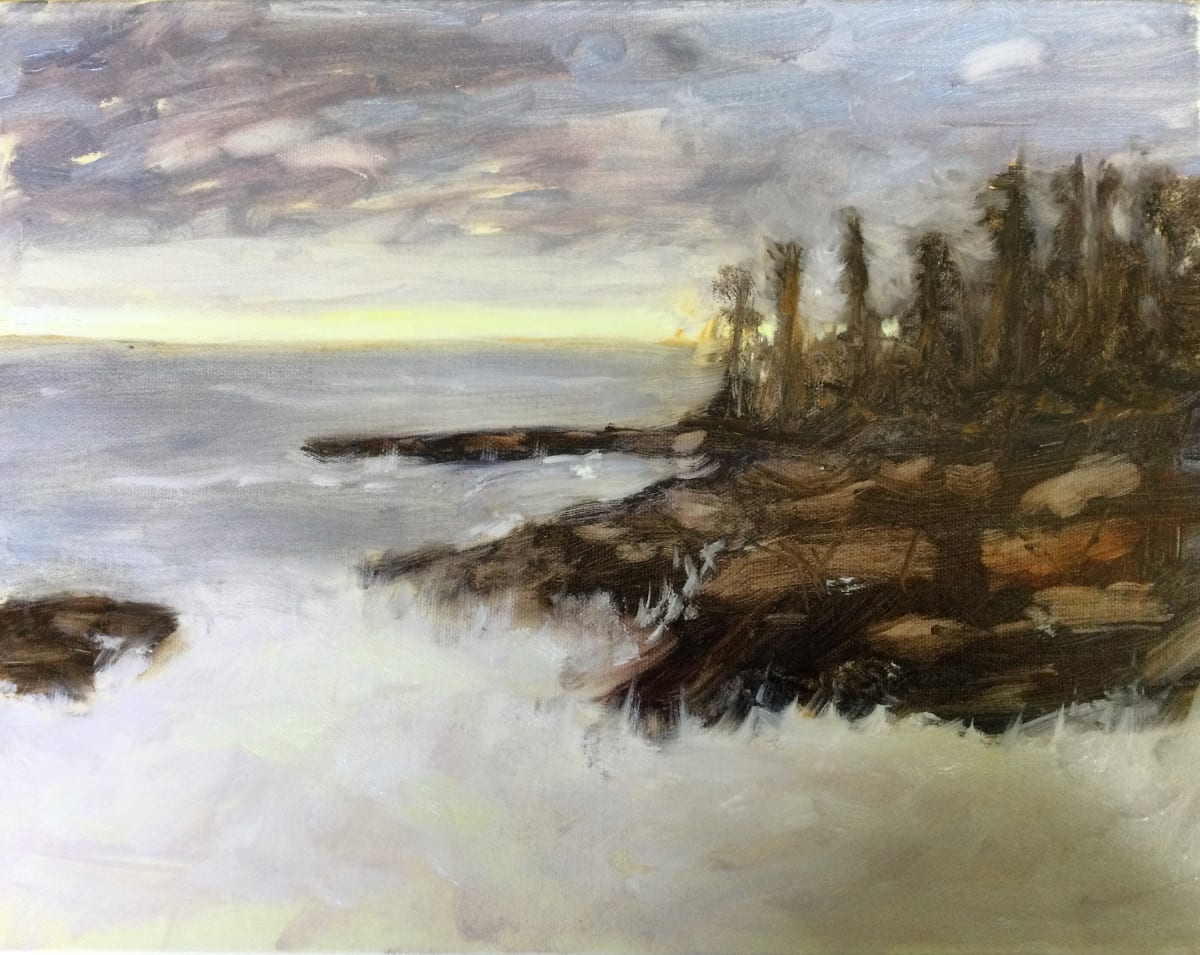 Windy  Rocky Coast by Louise Douglas 