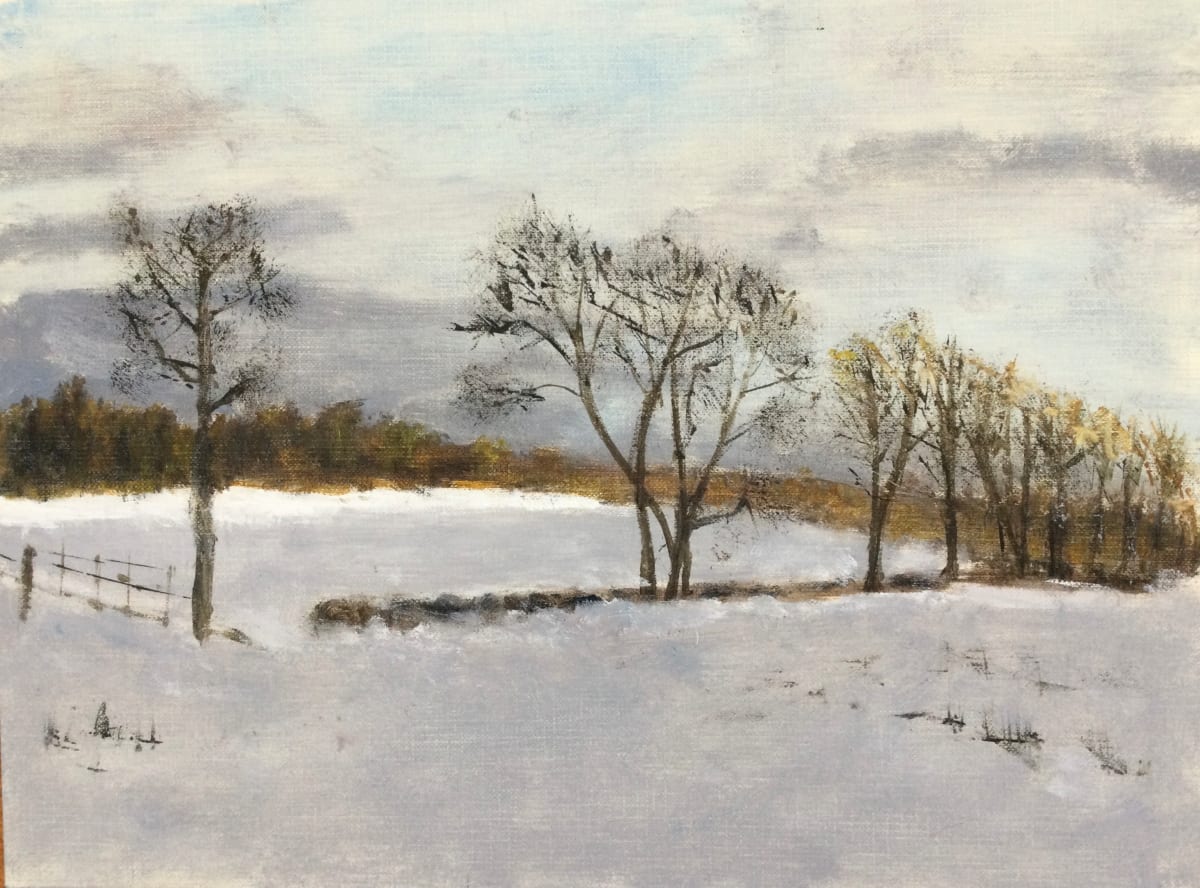 Winter Fences by Louise Douglas 