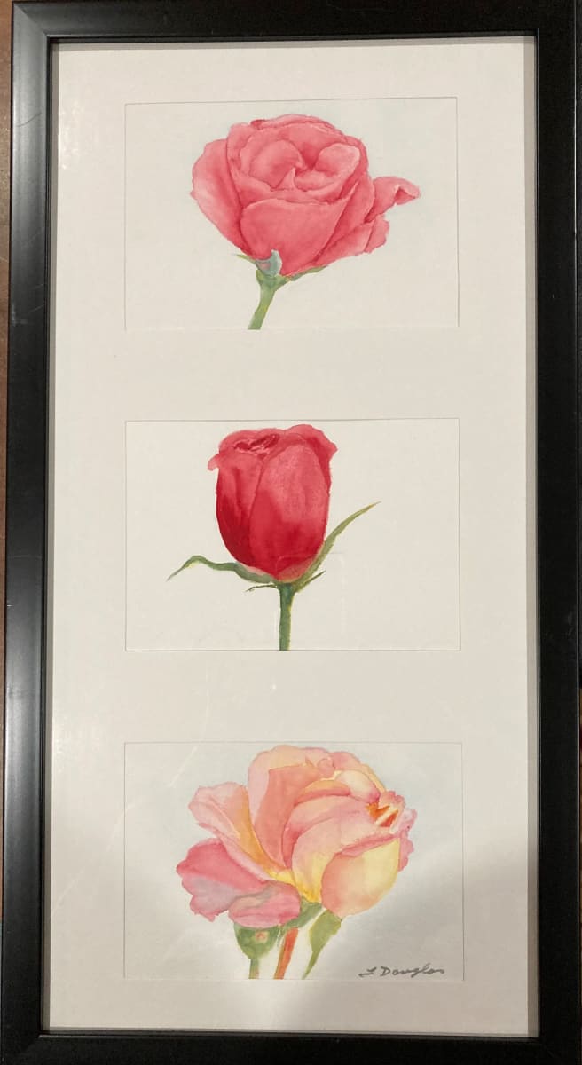 Roses Tryptic.   Another Rose, Rose Bud, A favorite Rose by Louise Douglas  Image: Three roses