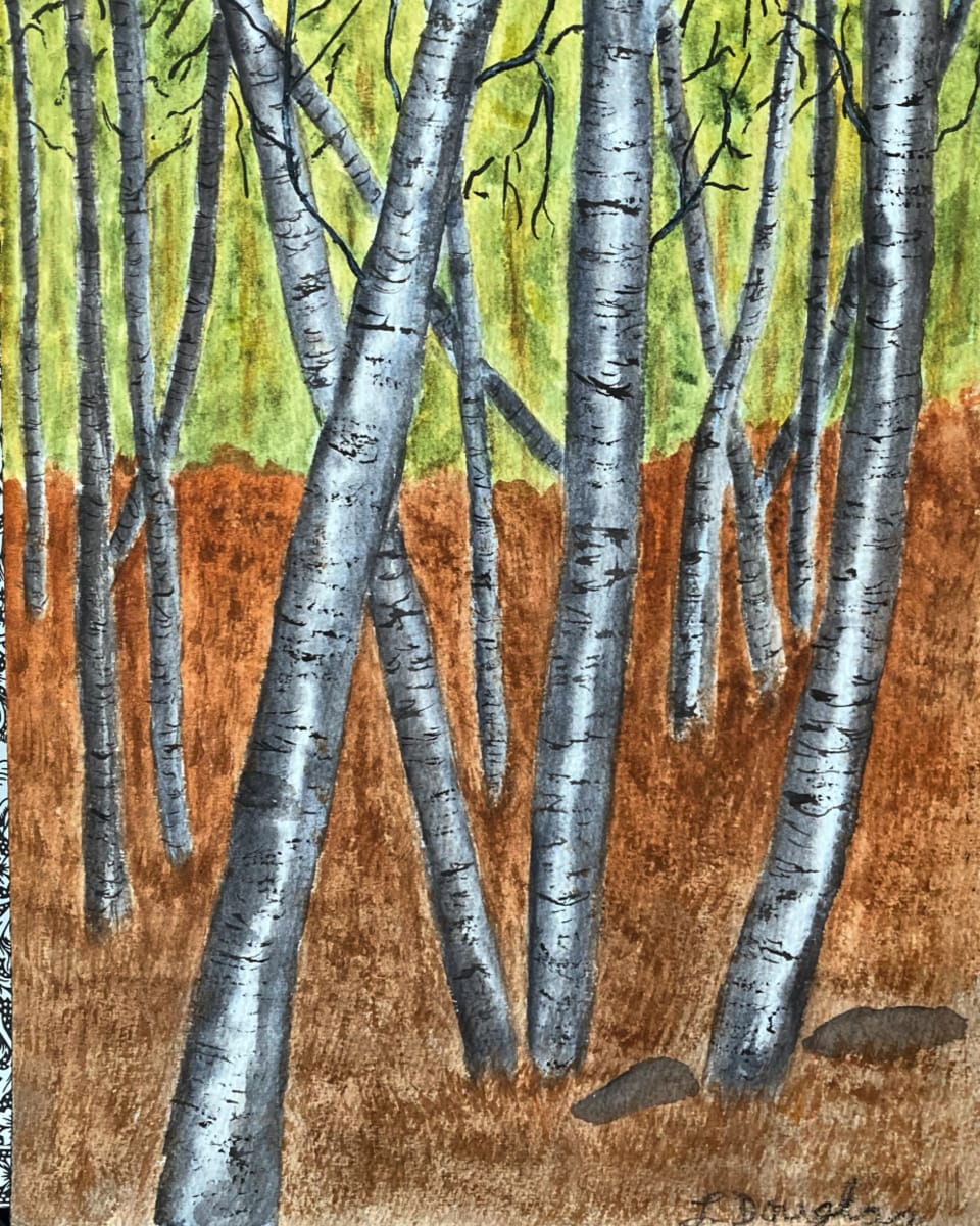 Autumn Birch Trees by Louise Douglas 