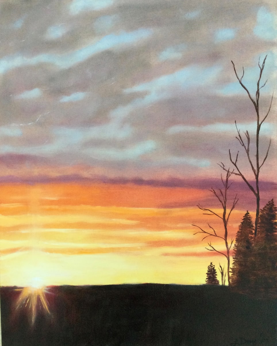 Sunset out my window by Louise Douglas 