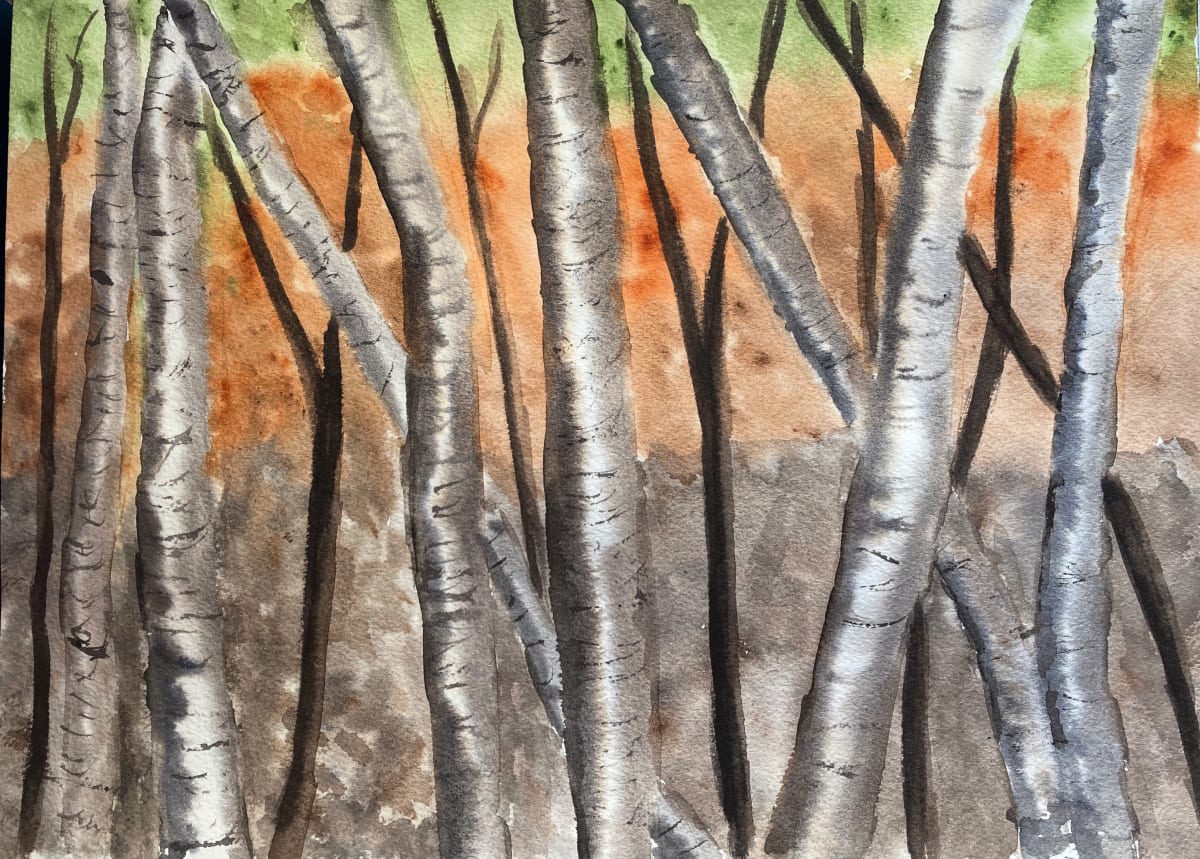 Birch Tree study by Louise Douglas 