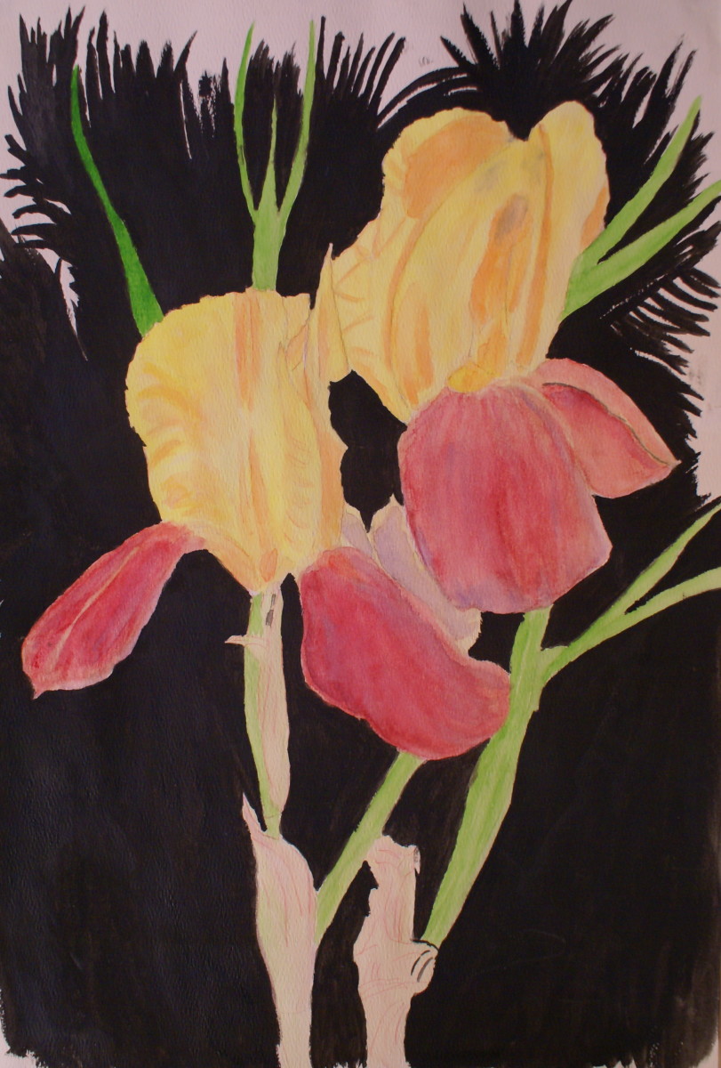 Two Irises by Louise Douglas 