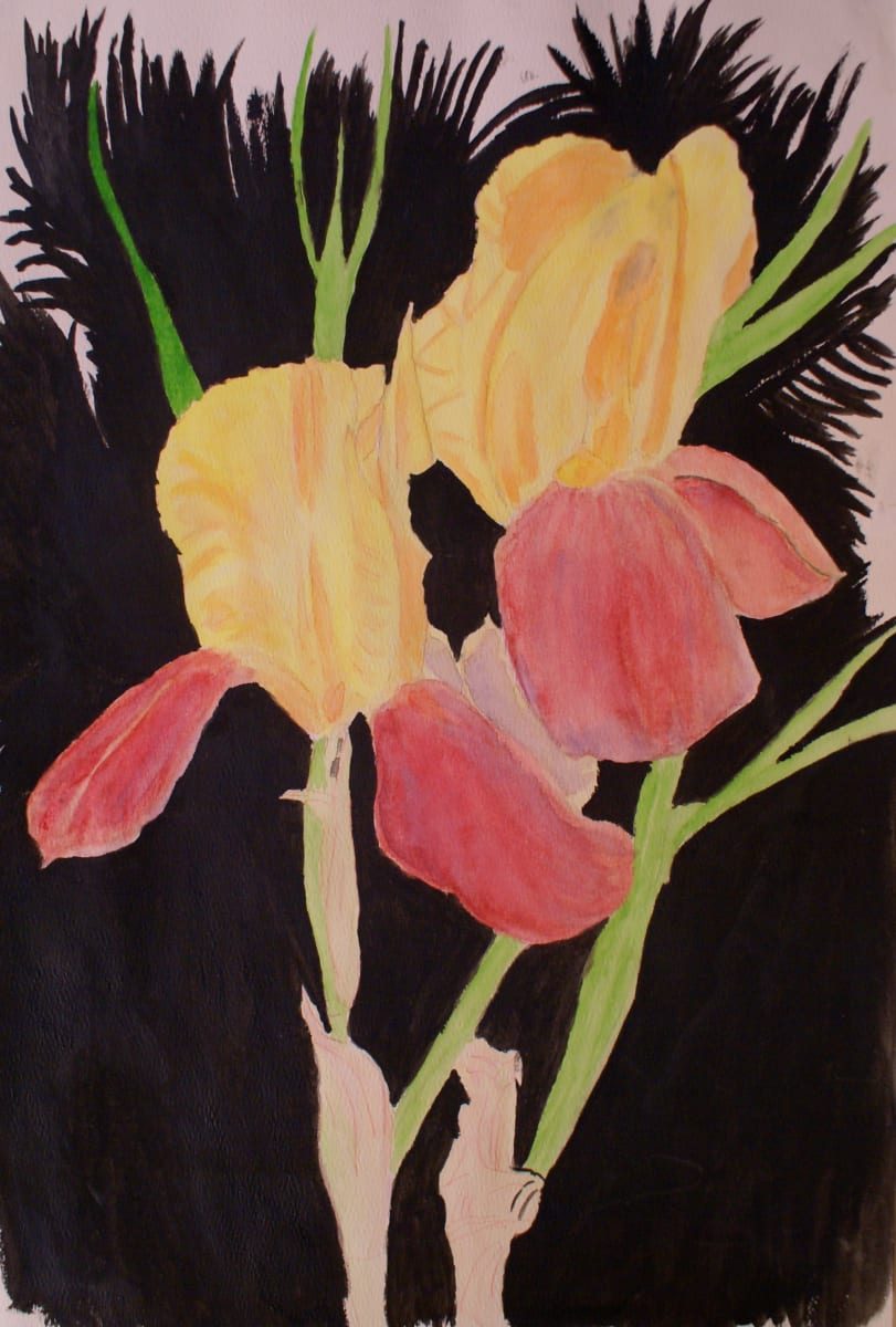 Two Irises by Louise Douglas, Image 1.