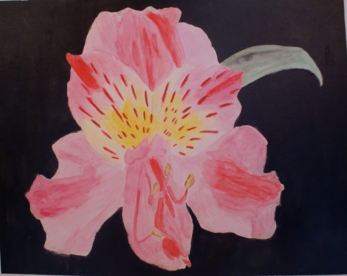 Single Pink Lily 1 by Louise Douglas, Image 1.