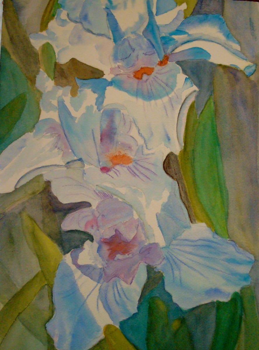 Blue Irises by Louise Douglas 