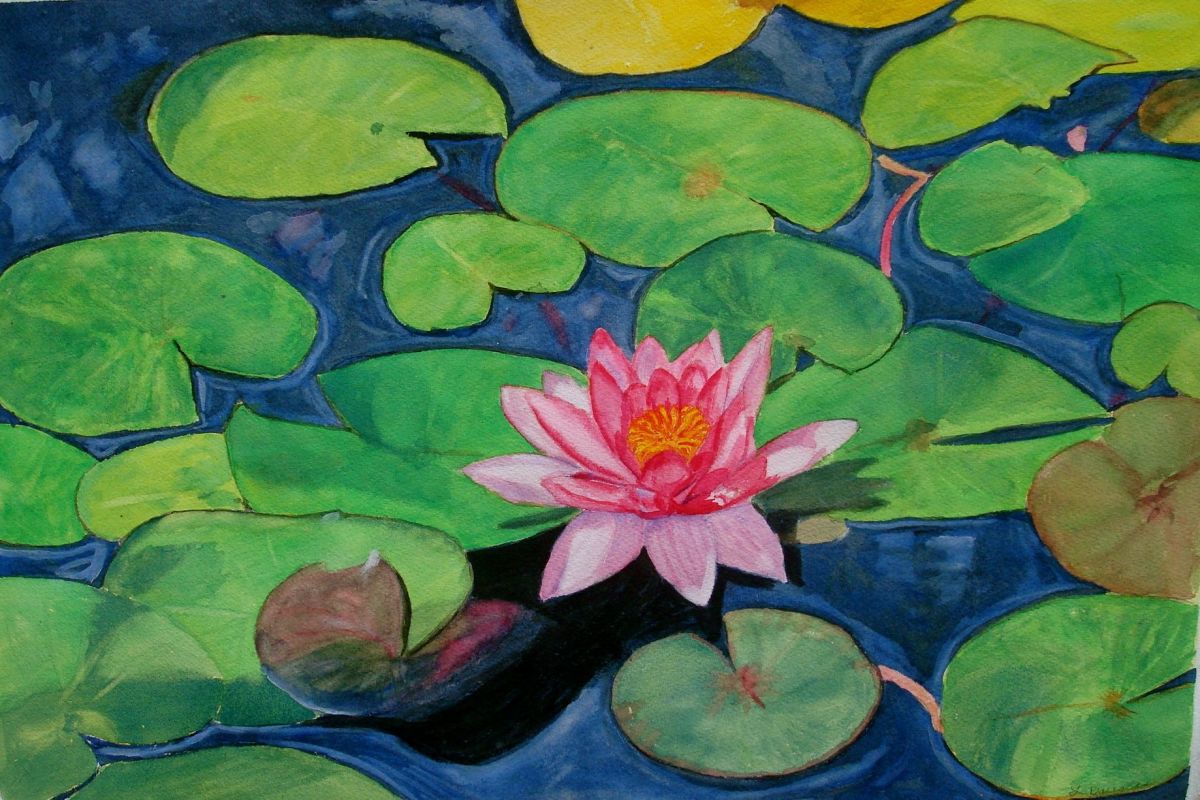 Waterlily 1 by Louise Douglas 