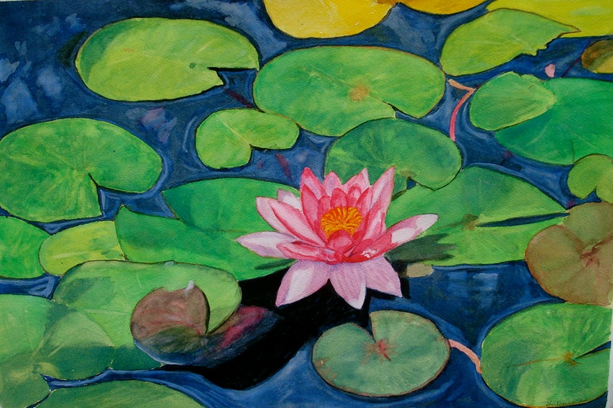 Waterlily 1 by Louise Douglas, Image 1.