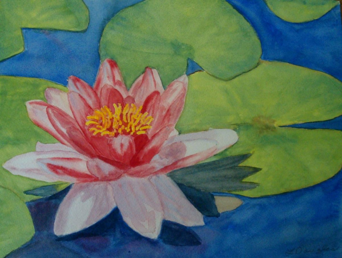 Waterlily 2 by Louise Douglas 