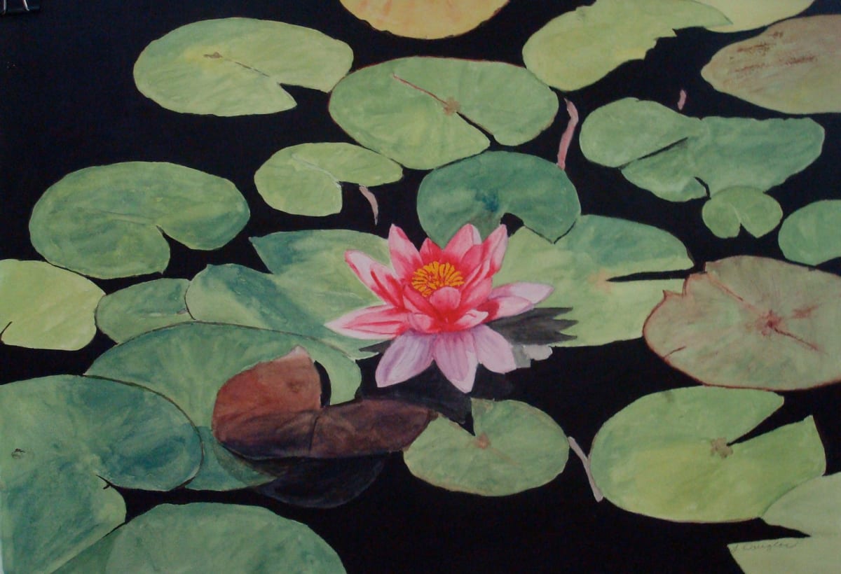 Waterlily 3 by Louise Douglas, Image 1.