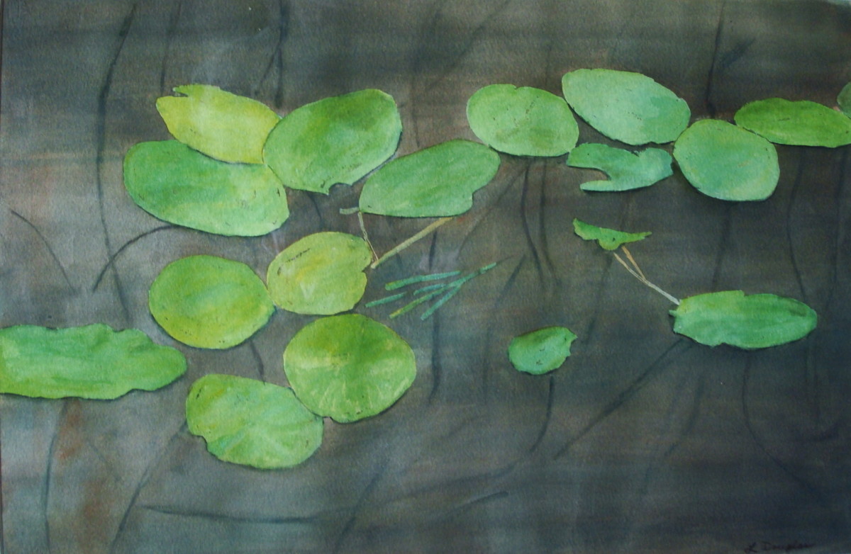 lily pads by Louise Douglas 