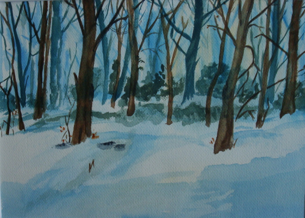 Winter Woods by Louise Douglas 