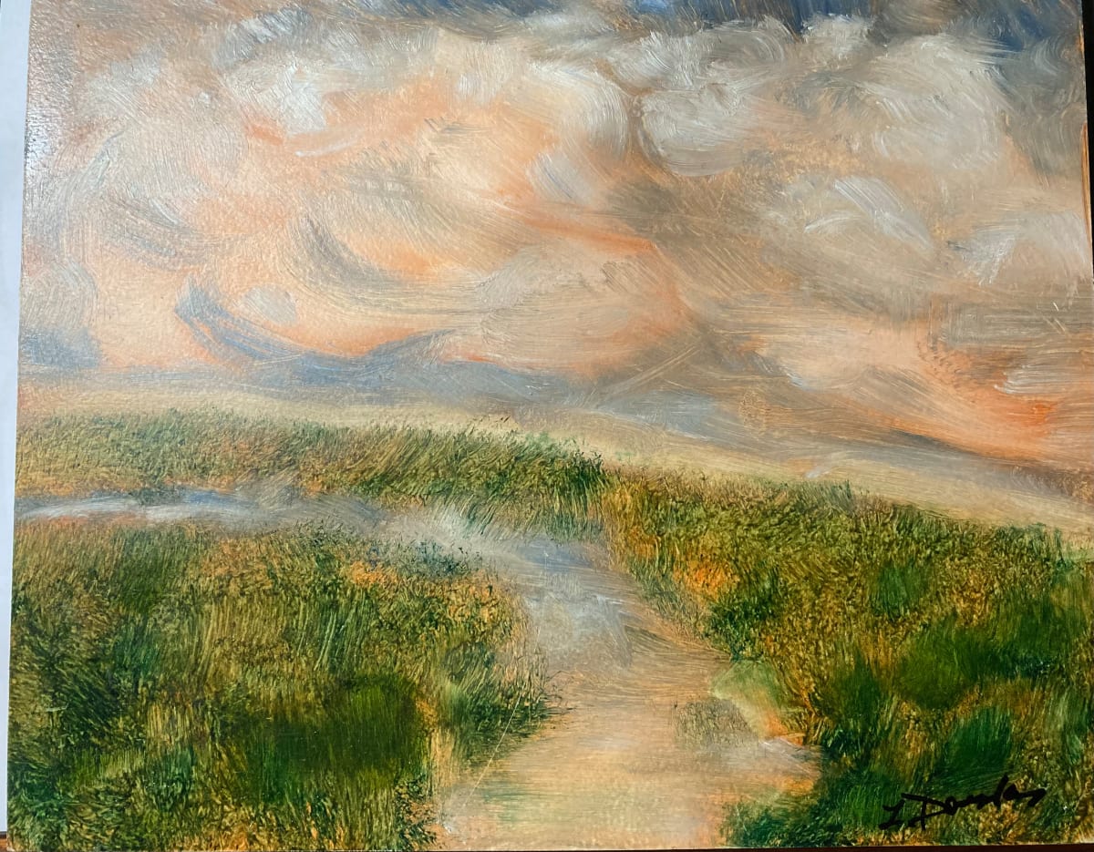 Marsh at Quaboag by Louise Douglas 