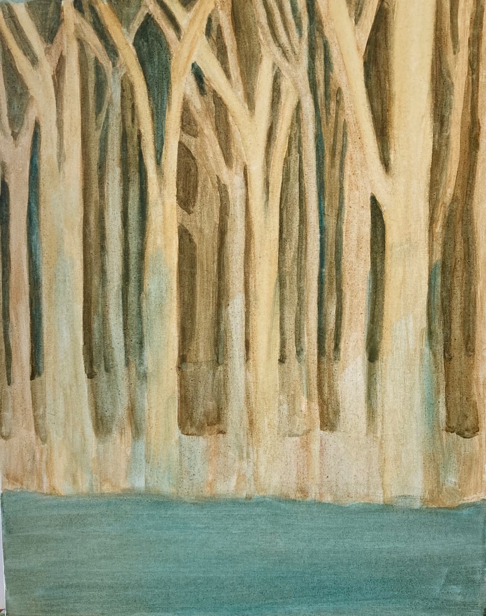 Tom's Tree by Louise Douglas 