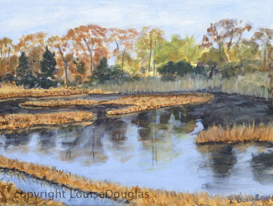 Naugatuck River by Louise Douglas 