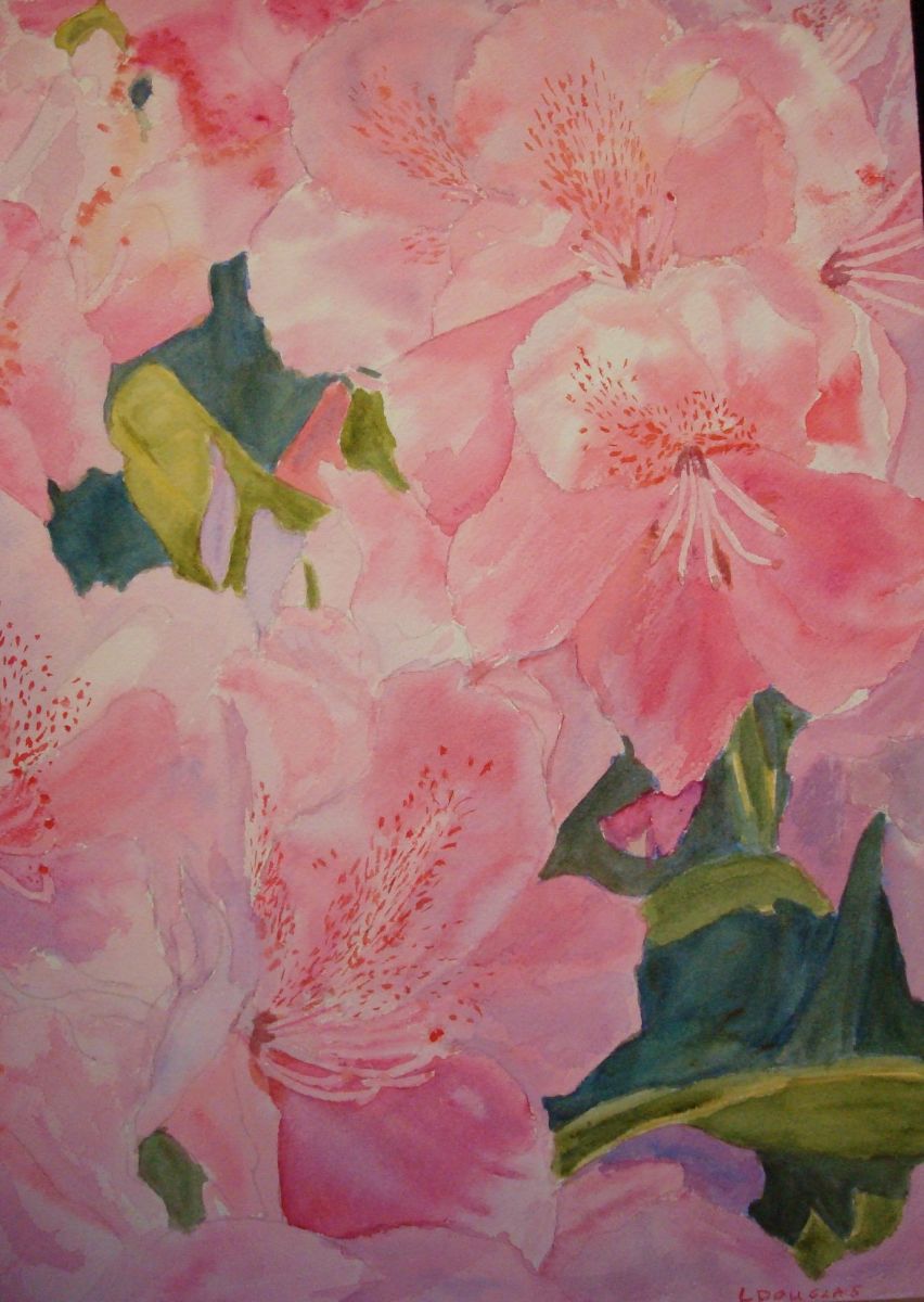 Rhododendrons 2 by Louise Douglas 