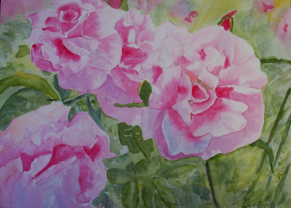 Roses 2 by Louise Douglas 