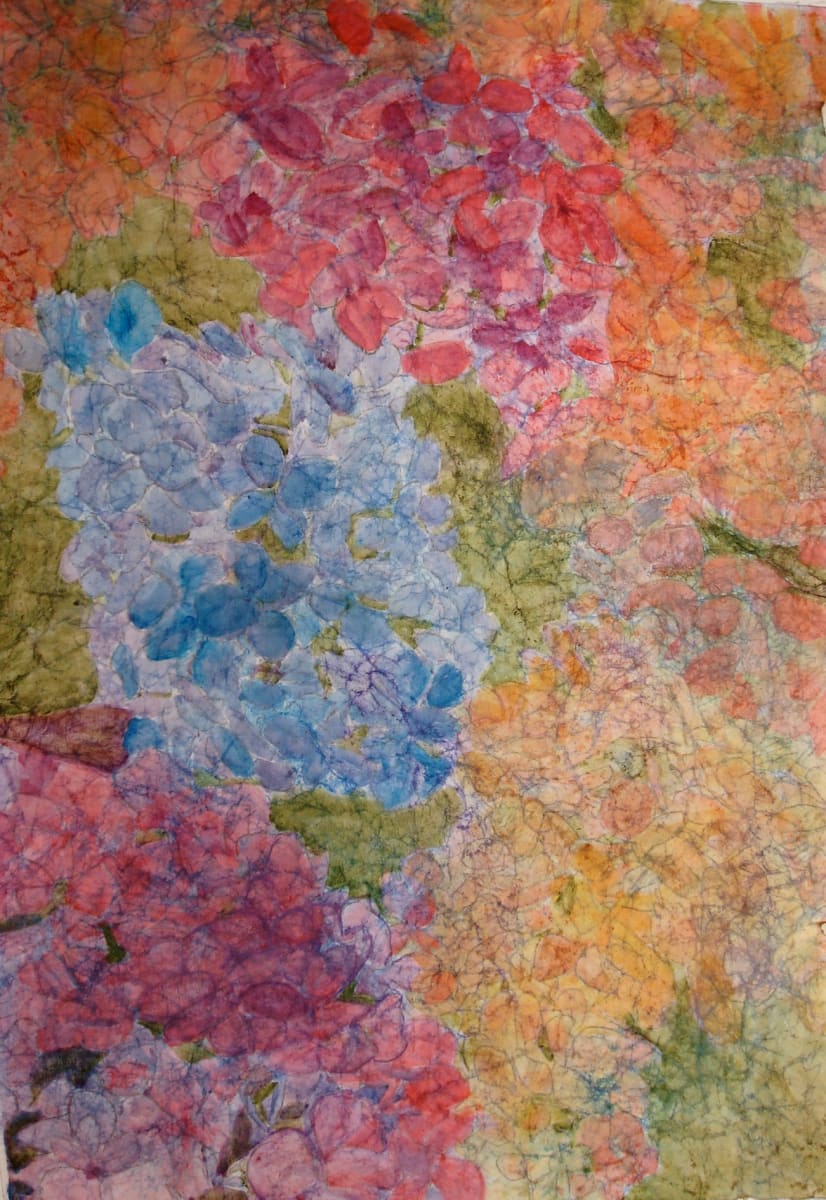 Summer flowers by Louise Douglas, Image 1.