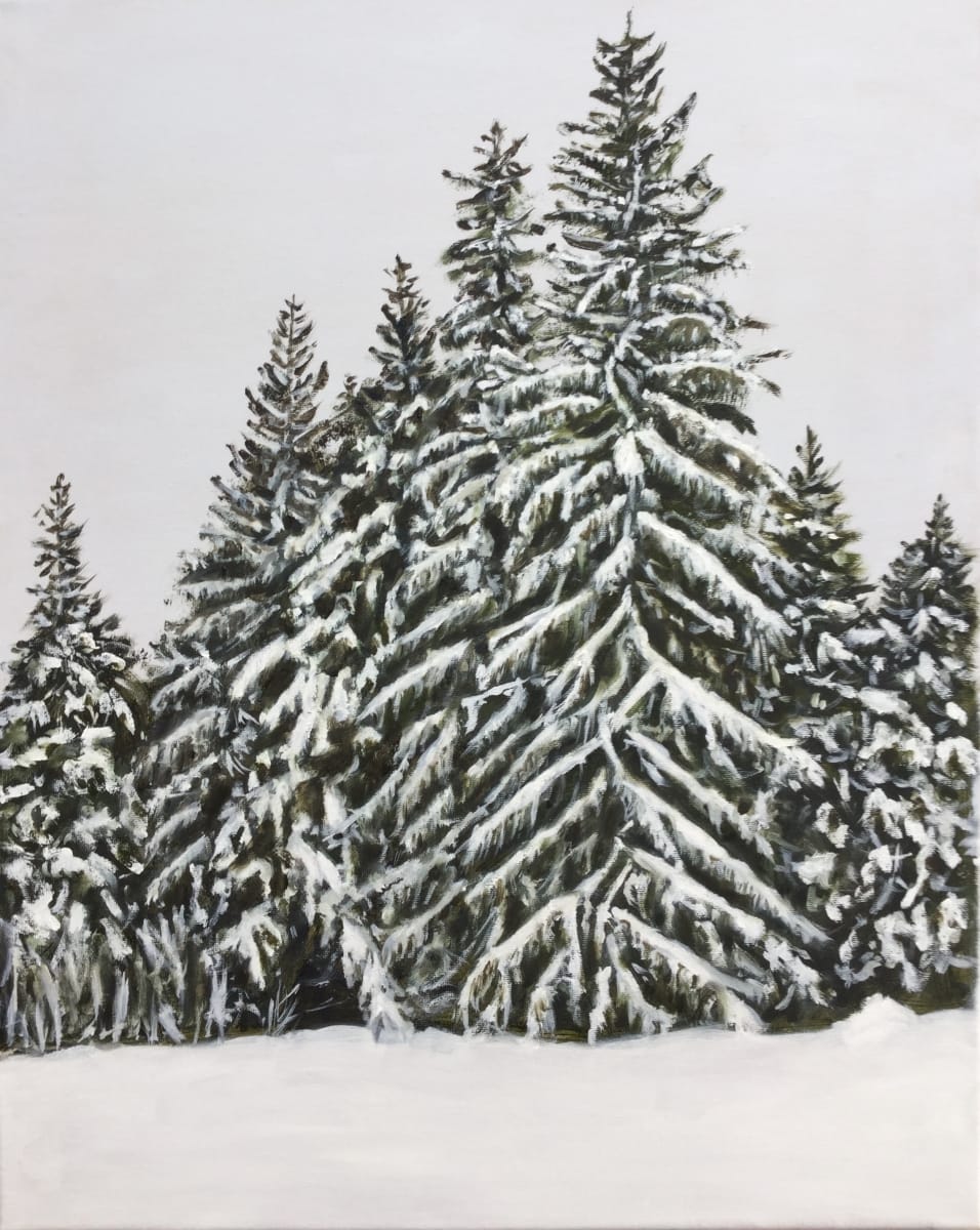 Winter Evergreens by Louise Douglas, Image 10.