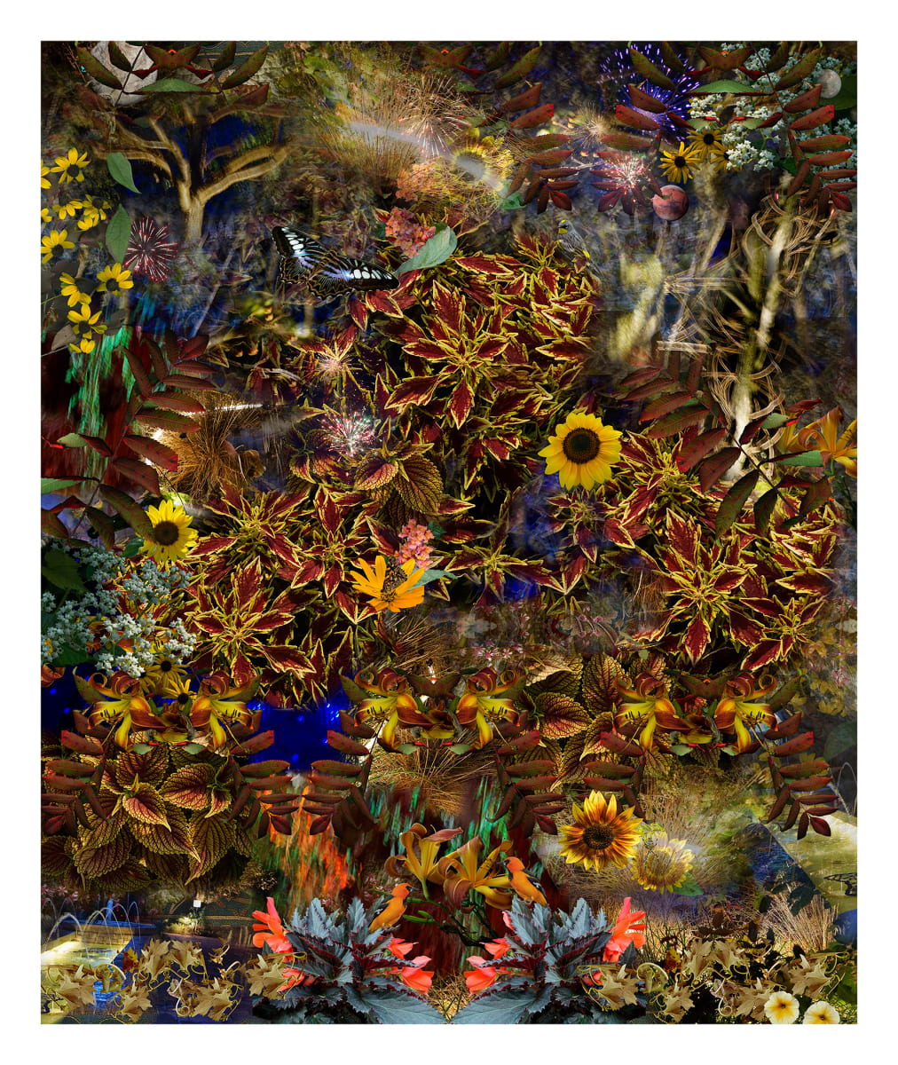 There is Another Sky by LISA  A.  FRANK, Image 1.