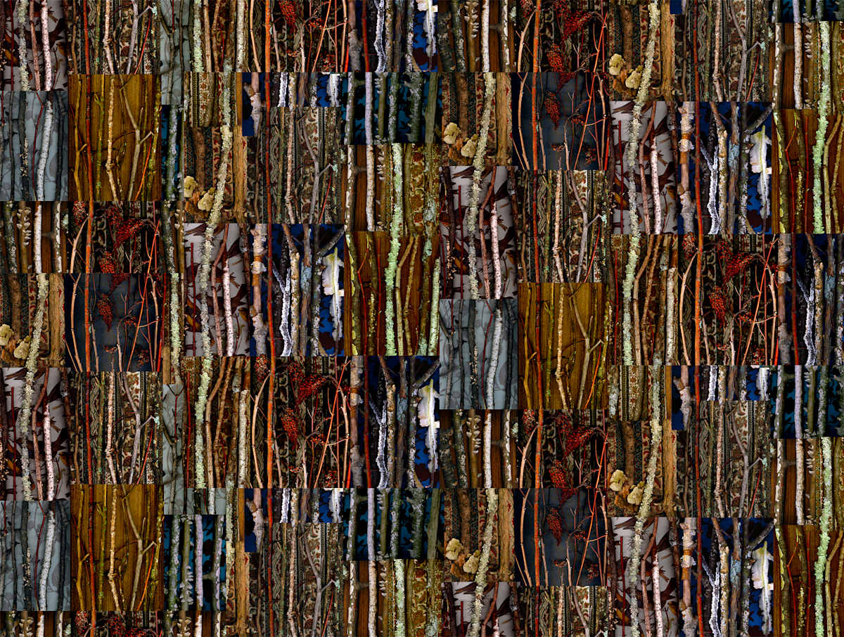 Wood Panelling by LISA  A.  FRANK, Image 1.